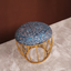 Blue Floral Printed Fabric Metallic Stool with Gold Cage-Style Base